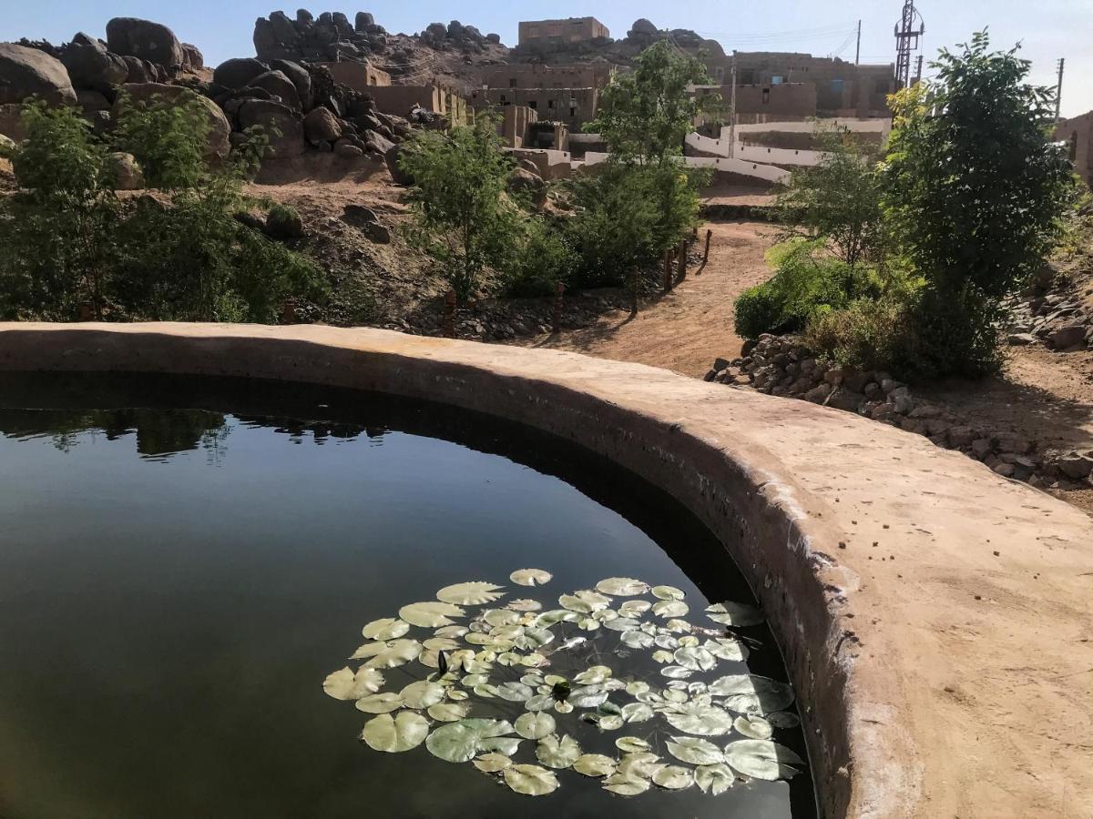 Eco Nubia Villa Асуан Екстериор снимка