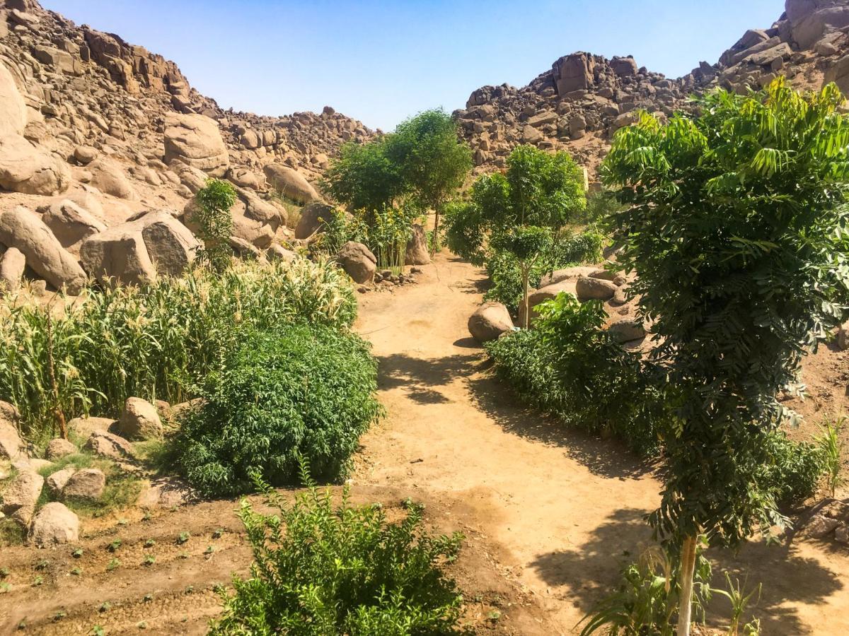 Eco Nubia Villa Асуан Екстериор снимка