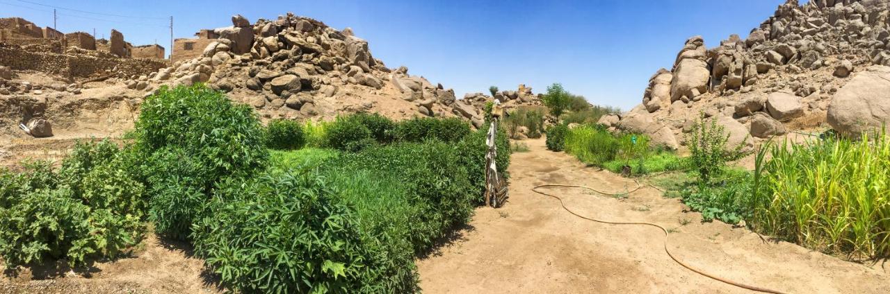 Eco Nubia Villa Асуан Екстериор снимка